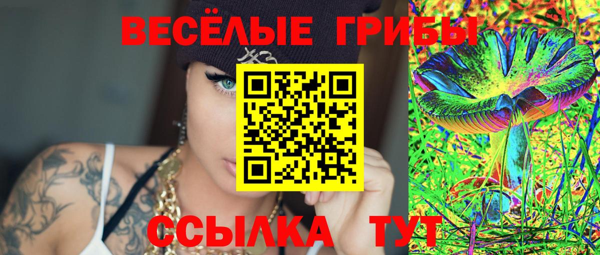 Галлюциногенные грибы Magic Shrooms Павловский Посад