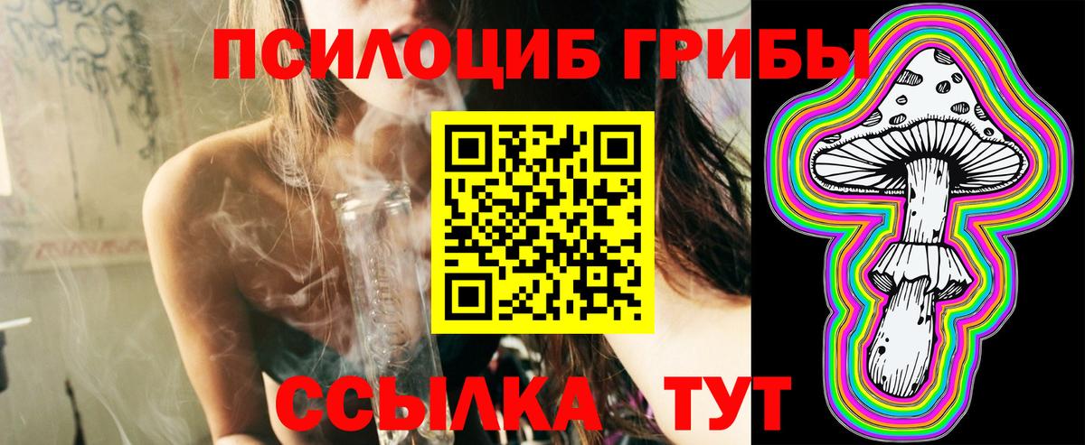 Павловский Посад  Псилоцибиновые грибы мухоморы  Вход с VPN 